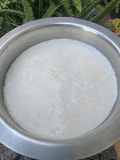હોમ મેડ દહીં (Home Made Dahi Recipe In Gujarati) રેસીપી મુખ્ય ફોટો