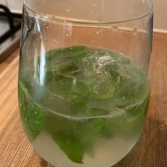 A picture of The best Mojito.