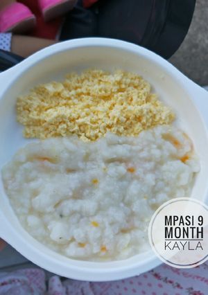 Foto resep MPasi 9mo Nasi Tim lauk telur orak arik
