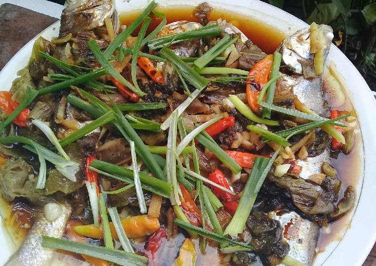Bahan-bahan Tim ikan senangin dg sawi asin yang nikmat dan Mudah Dibuat