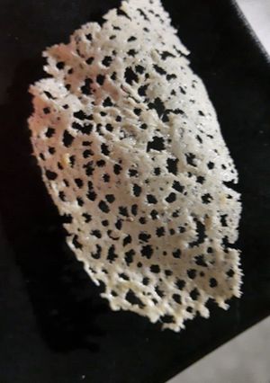 Una foto de Falso coral blanco