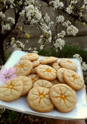 عکسی از دستور شیرینی قندی بروجرد مخصوص عید نوروز👌❤