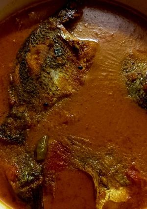 তেলাপিয়ার ঝাল (tilapiar jhal recipe in Bengali) রেসিপির প্রধান ছবি