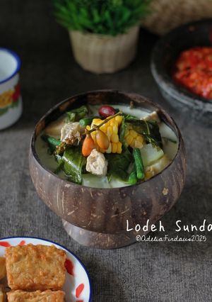 Foto resep Lodeh