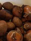 Castane coapte
