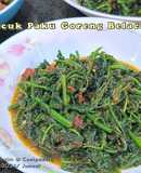 Pucuk Paku Goreng Belacan