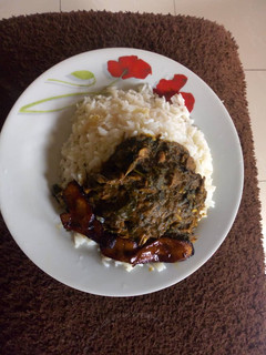 A picture of Rice and ofeakwu with dodo.