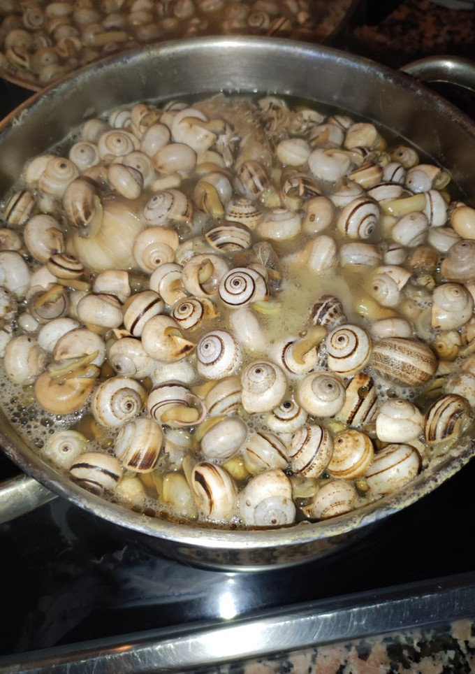 Una foto de Caracoles pequeños de caldo, al estilo andaluz
