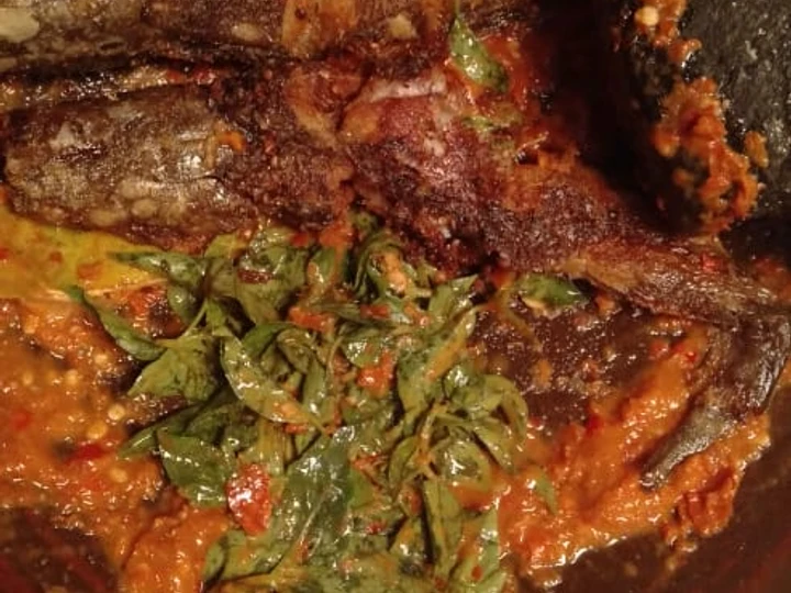 Langkah Mudah untuk Menyiapkan Resep Pecel lele kemangi / penyet lele sambal kemangi yang Lezat Anti Ribet, Lezat Sekali
