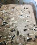 Nieve de oreo