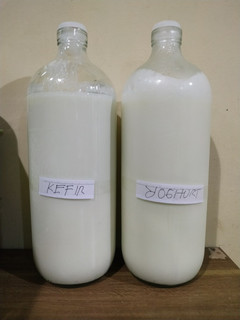 Foto resep 02. Susu Kefir