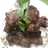 Empal daging sapi goreng empuk lezat