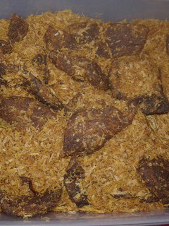 Foto resep Dendeng ragi/dendeng daging