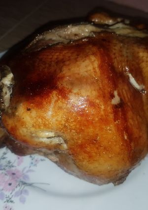 عکسی از دستور مرغ بریون