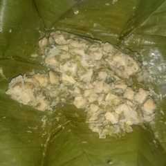 รูปของ Botok pedas tempe beluntas dan kemangi