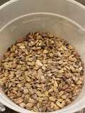 Baked Ranch Sunflower Seeds