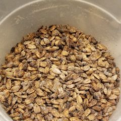 A picture of Baked Ranch Sunflower Seeds.