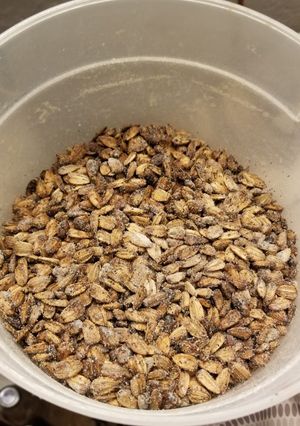 A picture of Baked Ranch Sunflower Seeds.
