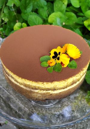 Foto di RICETTA TORTA TIRAMISU' SENZA GLUTINE 