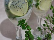Gambar biji selasih daun mint