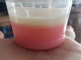 Strawberry Pudding with Vanila Vla