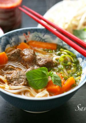 Hình của món Hủ tiếu bò kho .