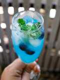Blueberry Soda Punch