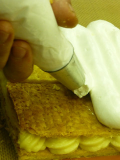 Una foto de Merengue rápido