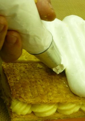Una foto de Merengue rápido
