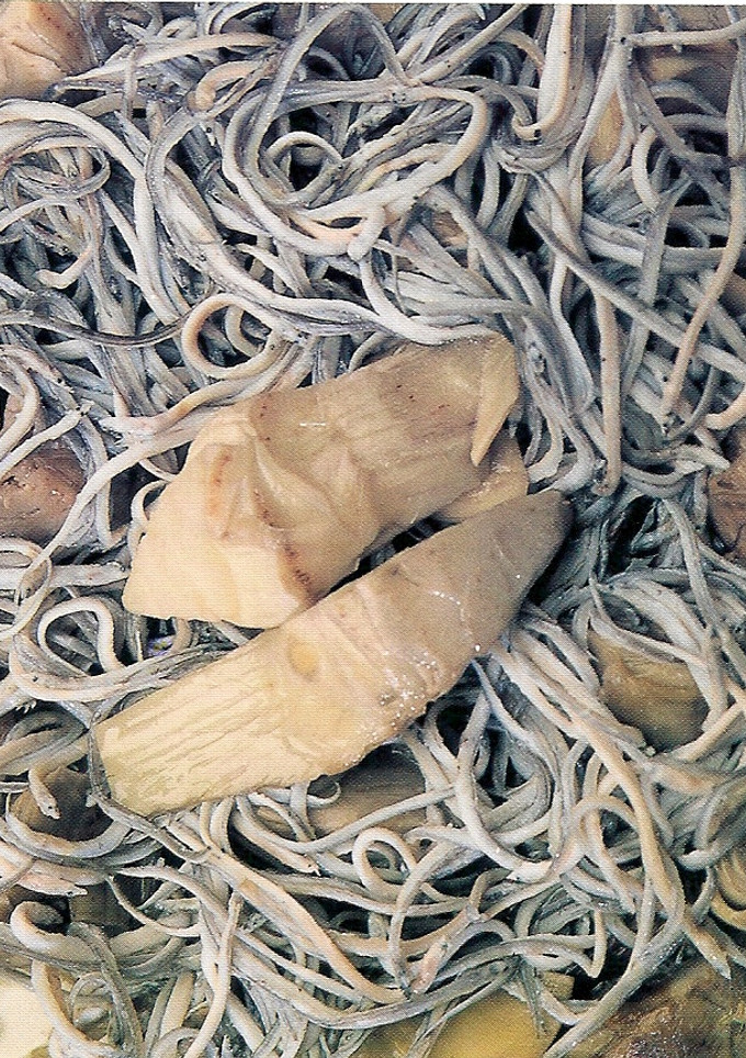 Una foto de Alcachofas con angulas