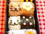 Barriles de gatito para bento