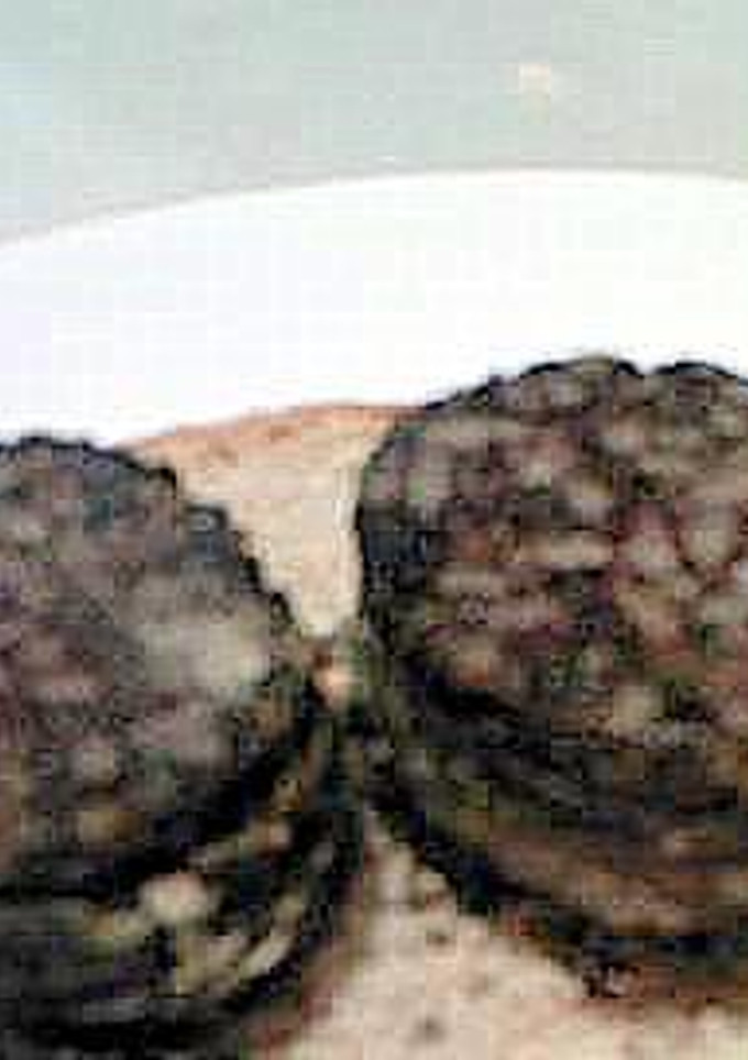 Una foto de Morcilla de Burgos frita