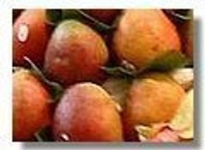 Foto principal de Chutney de mango