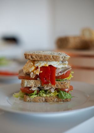 A picture of Sandwich with Turkey Leftovers, Red Onion, and Cheese.