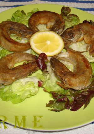 Una foto de La pescadilla que se muerde la cola