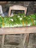 Zacahuil