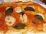 Pizza casera de tomate, albahaca y mozzarela