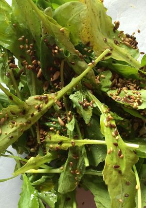 Una foto de Ensalada de rucula con sésamo
