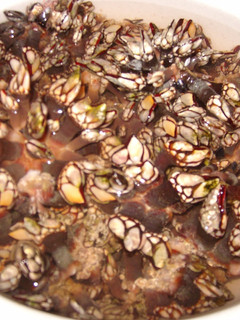 Una foto de Percebes cocidos