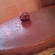Tarta Ferrero Rocher con Thermomix