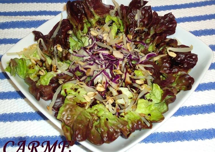 De los brotes ensalada soja en preparar como