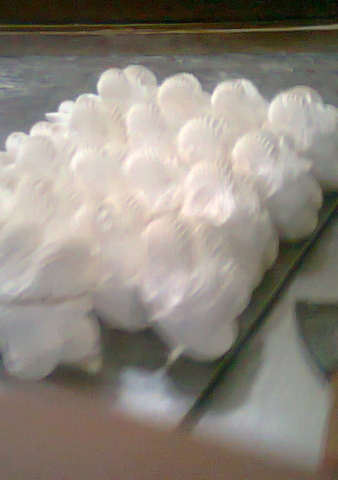 Una foto de Merengues para decorar