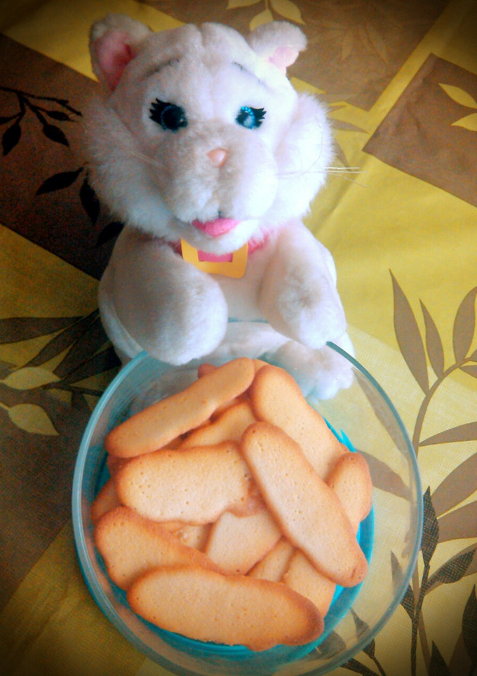 Una foto de Lenguas de gato en Thermomix
