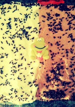 Una foto de Tarta de cumpleaños auténtica