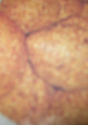 A picture of Keppe.
