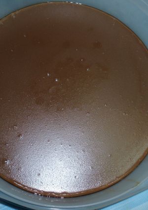 Una foto de Flan de café con leche de soja (Thermomix 31)