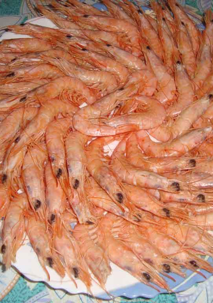 Una foto de Gambas en su punto