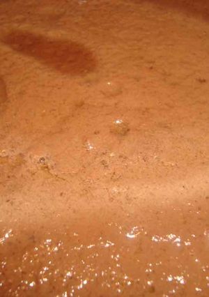 Una foto de Flan choco-café