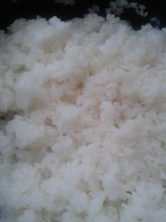 Una foto de Shari (arroz para sushi)