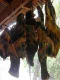 Cómo hacer charque (Carne seca)